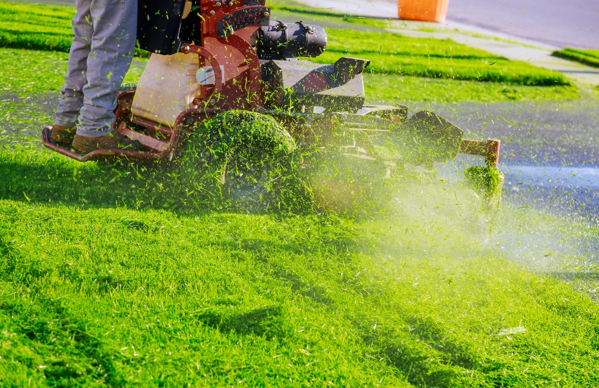 Home garden grass gardener cutting lawn grass with lawn mower